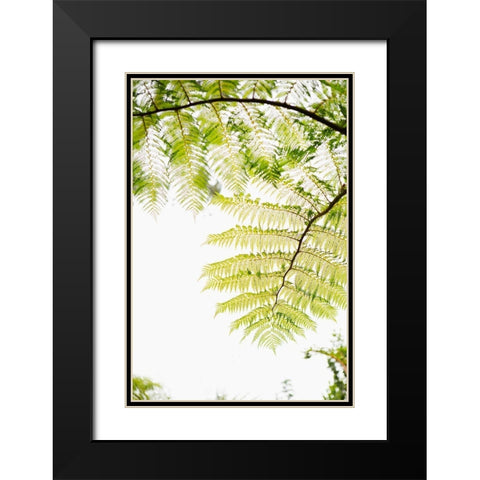 Sunlit Tropical Silhouette I Black Modern Wood Framed Art Print with Double Matting by Millet, Karyn