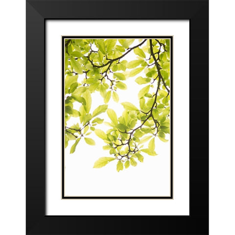 Sunlit Tropical Silhouette II Black Modern Wood Framed Art Print with Double Matting by Millet, Karyn