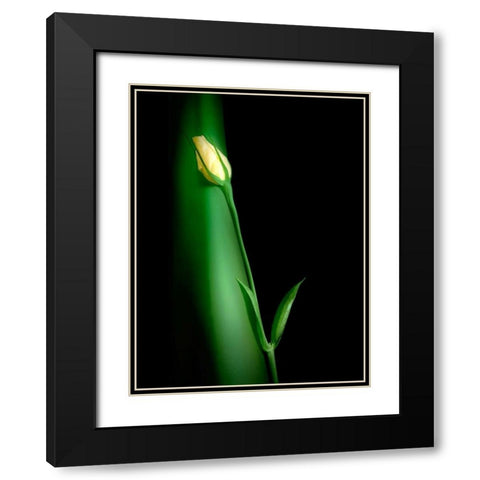 Soul Mates II Black Modern Wood Framed Art Print with Double Matting by McNemar, C. Thomas