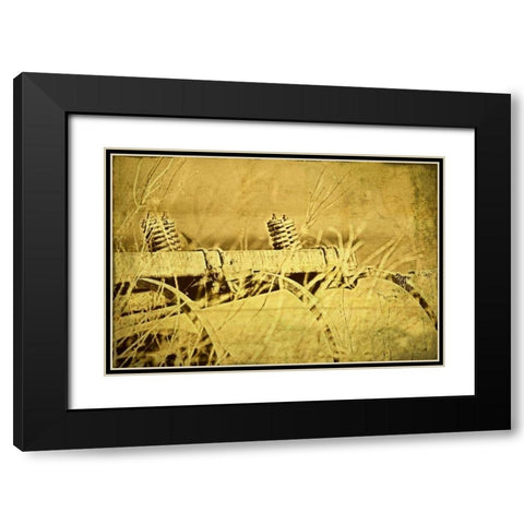 Farm Implement Black Modern Wood Framed Art Print with Double Matting by McNemar, C. Thomas