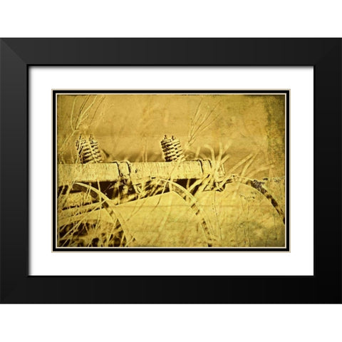 Farm Implement Black Modern Wood Framed Art Print with Double Matting by McNemar, C. Thomas