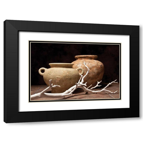 Pottery with Branch I Black Modern Wood Framed Art Print with Double Matting by McNemar, C. Thomas