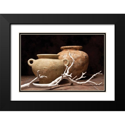 Pottery with Branch I Black Modern Wood Framed Art Print with Double Matting by McNemar, C. Thomas