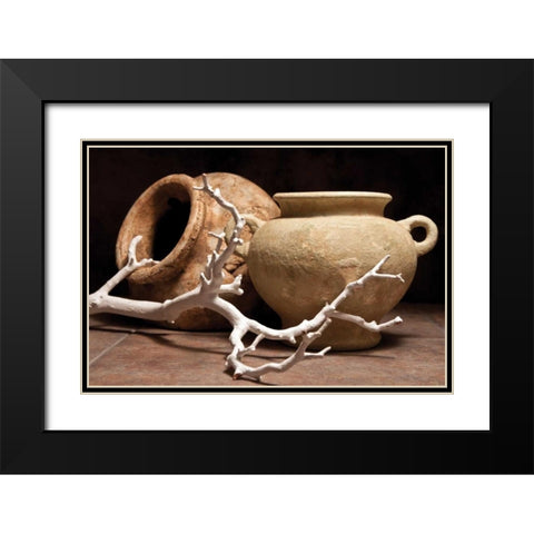 Pottery with Branch II Black Modern Wood Framed Art Print with Double Matting by McNemar, C. Thomas