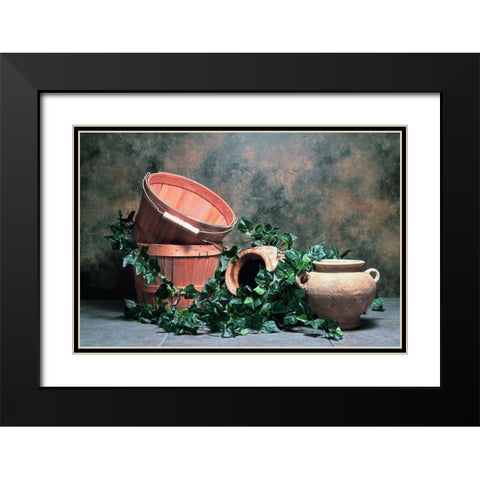 Pottery with Ivy II Black Modern Wood Framed Art Print with Double Matting by McNemar, C. Thomas