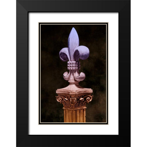 Fleur de Lis III Black Modern Wood Framed Art Print with Double Matting by McNemar, C. Thomas