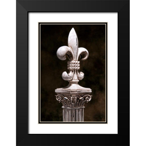 Fleur de Lis IV Black Modern Wood Framed Art Print with Double Matting by McNemar, C. Thomas