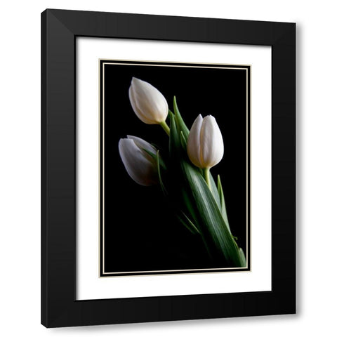 Tulips IV Black Modern Wood Framed Art Print with Double Matting by McNemar, C. Thomas