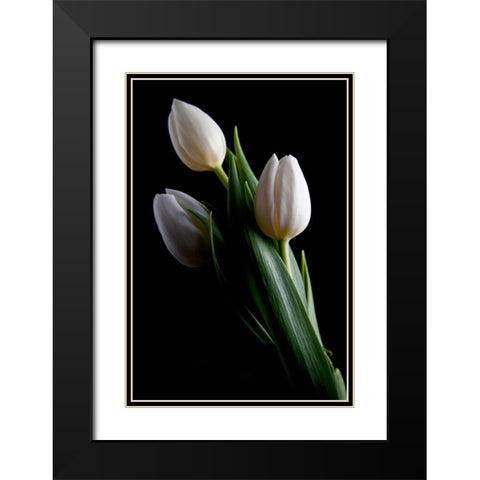 Tulips IV Black Modern Wood Framed Art Print with Double Matting by McNemar, C. Thomas