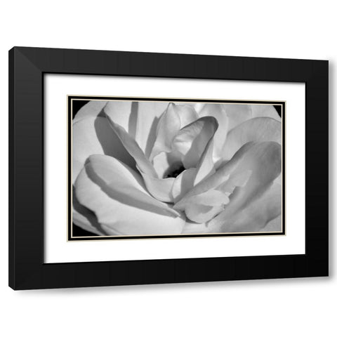 Macro Flower I Black Modern Wood Framed Art Print with Double Matting by Moore, Brian