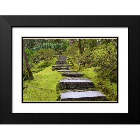 Steps II Black Modern Wood Framed Art Print with Double Matting by Moore, Brian