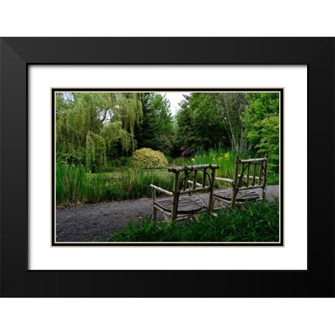 In the Garden I Black Modern Wood Framed Art Print with Double Matting by Moore, Brian