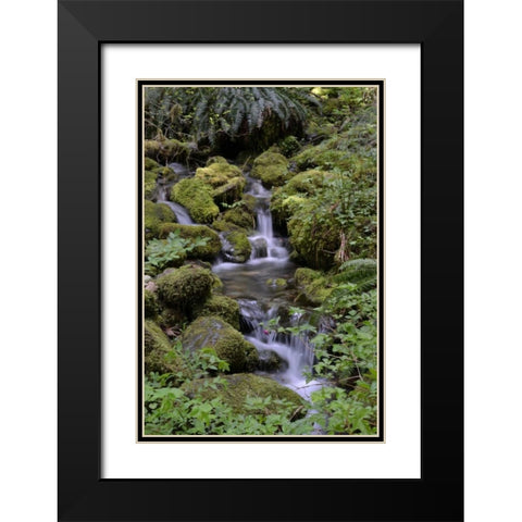 Japanese Gardens II Black Modern Wood Framed Art Print with Double Matting by Moore, Brian