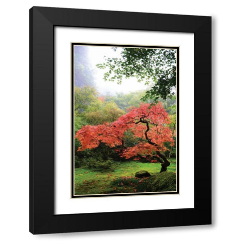 Japanese Gardens IV Black Modern Wood Framed Art Print with Double Matting by Moore, Brian