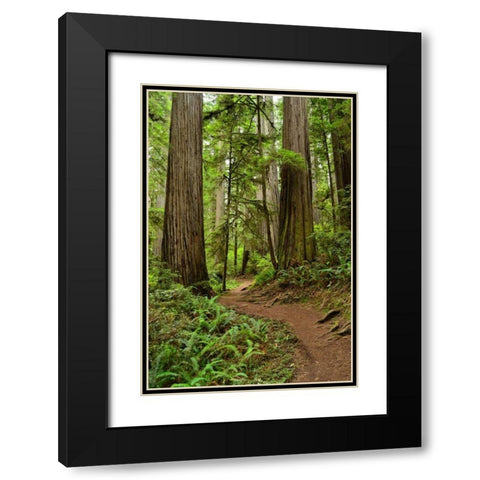 Hiking Trail I Black Modern Wood Framed Art Print with Double Matting by Moore, Brian