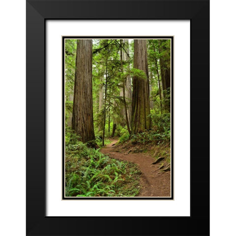 Hiking Trail I Black Modern Wood Framed Art Print with Double Matting by Moore, Brian