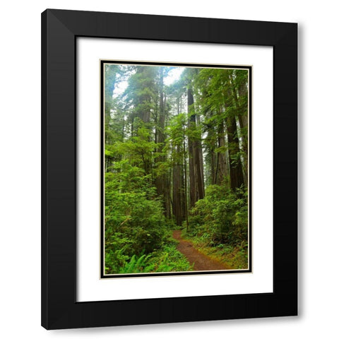 Hiking Trail II Black Modern Wood Framed Art Print with Double Matting by Moore, Brian