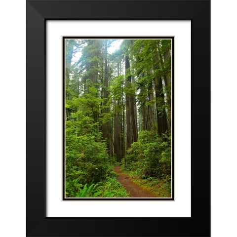 Hiking Trail II Black Modern Wood Framed Art Print with Double Matting by Moore, Brian