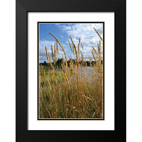 Through the Grass I Black Modern Wood Framed Art Print with Double Matting by Moore, Brian