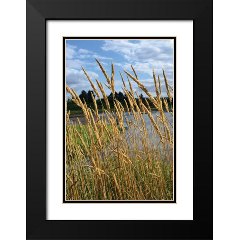 Through the Grass II Black Modern Wood Framed Art Print with Double Matting by Moore, Brian