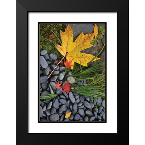 Maple Leaves II Black Modern Wood Framed Art Print with Double Matting by Moore, Brian