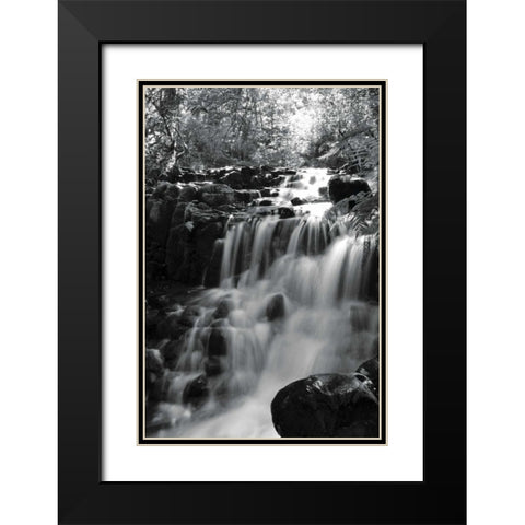 BW Falls in the Forest III Black Modern Wood Framed Art Print with Double Matting by Moore, Brian