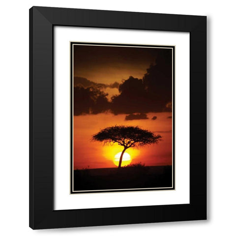 Kenya Sunrise Black Modern Wood Framed Art Print with Double Matting by Parker, Susann