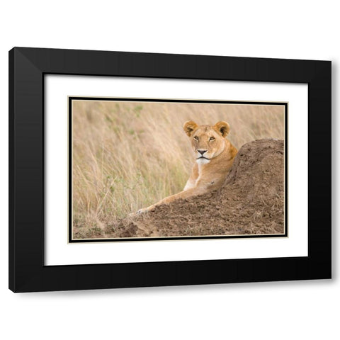 Vantage Point Black Modern Wood Framed Art Print with Double Matting by Parker, Susann