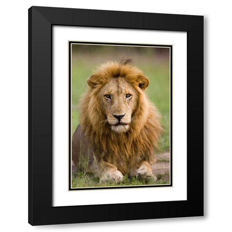 The King Black Modern Wood Framed Art Print with Double Matting by Parker, Susann