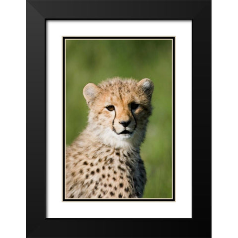 Innocence Renewed Black Modern Wood Framed Art Print with Double Matting by Parker, Susann