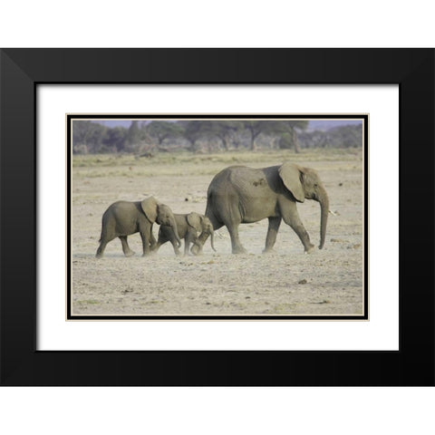 Memory Lane Black Modern Wood Framed Art Print with Double Matting by Parker, Susann