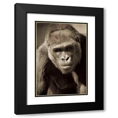 Planet of the Apes Black Modern Wood Framed Art Print with Double Matting by Parker, Susann
