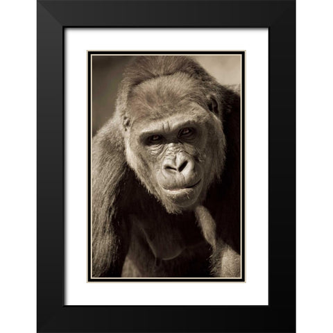 Planet of the Apes Black Modern Wood Framed Art Print with Double Matting by Parker, Susann