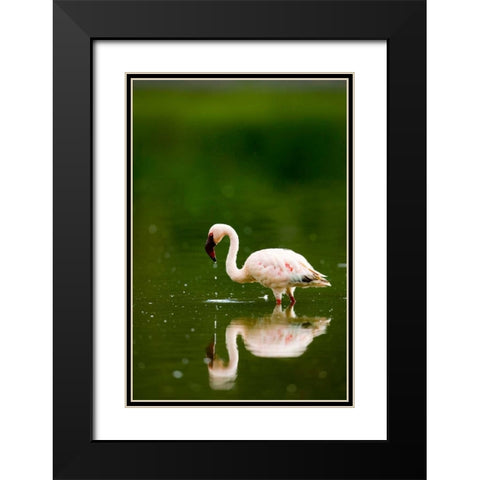 Pink Reflection Black Modern Wood Framed Art Print with Double Matting by Parker, Susann
