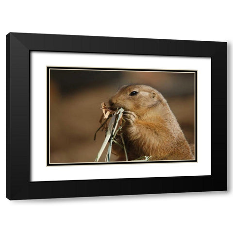 Soft Touch Black Modern Wood Framed Art Print with Double Matting by Parker, Susann