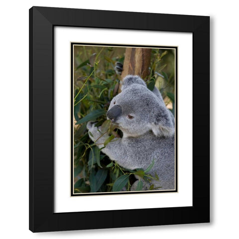 The Amiable Black Modern Wood Framed Art Print with Double Matting by Parker, Susann