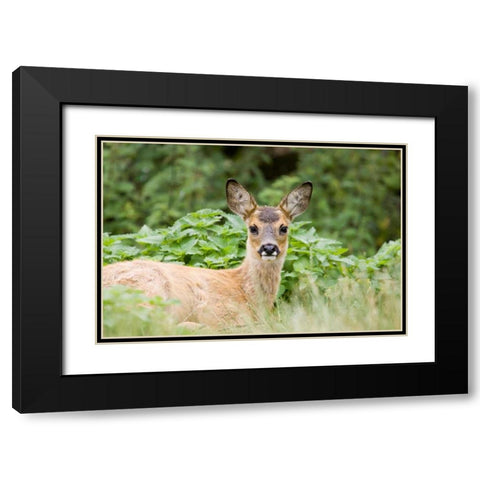 Auspicious Black Modern Wood Framed Art Print with Double Matting by Parker, Susann