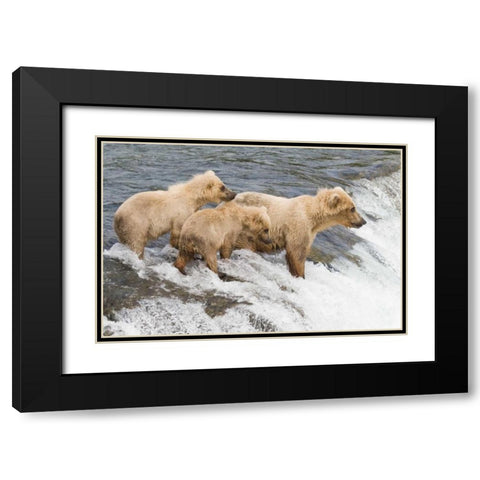 Day at the Falls Black Modern Wood Framed Art Print with Double Matting by Parker, Susann