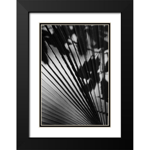 Shadow II Black Modern Wood Framed Art Print with Double Matting by Peterson, Lee