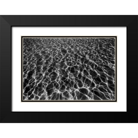 Underwater I Black Modern Wood Framed Art Print with Double Matting by Peterson, Lee