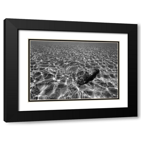 Underwater III Black Modern Wood Framed Art Print with Double Matting by Peterson, Lee