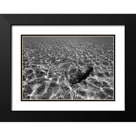 Underwater III Black Modern Wood Framed Art Print with Double Matting by Peterson, Lee