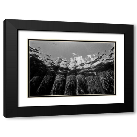 Pier Pilings I Black Modern Wood Framed Art Print with Double Matting by Peterson, Lee