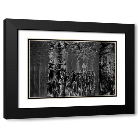 Pier Pilings II Black Modern Wood Framed Art Print with Double Matting by Peterson, Lee