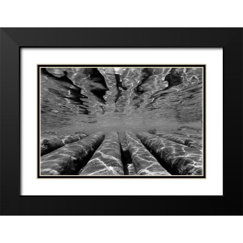 Pier Pilings III Black Modern Wood Framed Art Print with Double Matting by Peterson, Lee