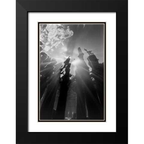 Pier Pilings VI Black Modern Wood Framed Art Print with Double Matting by Peterson, Lee