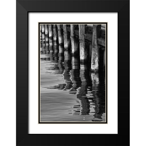 Pier Pilings VIII Black Modern Wood Framed Art Print with Double Matting by Peterson, Lee