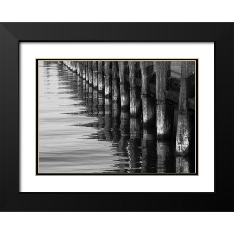 Pier Pilings XII Black Modern Wood Framed Art Print with Double Matting by Peterson, Lee