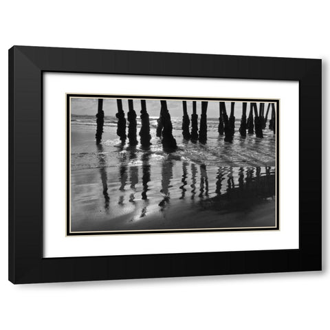Pier Pilings XIII Black Modern Wood Framed Art Print with Double Matting by Peterson, Lee