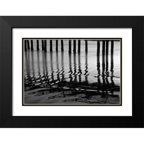 Pier Pilings XIV Black Modern Wood Framed Art Print with Double Matting by Peterson, Lee